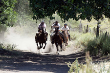 Argentina-Northern Patagonia-Pioneer Estancias Ride